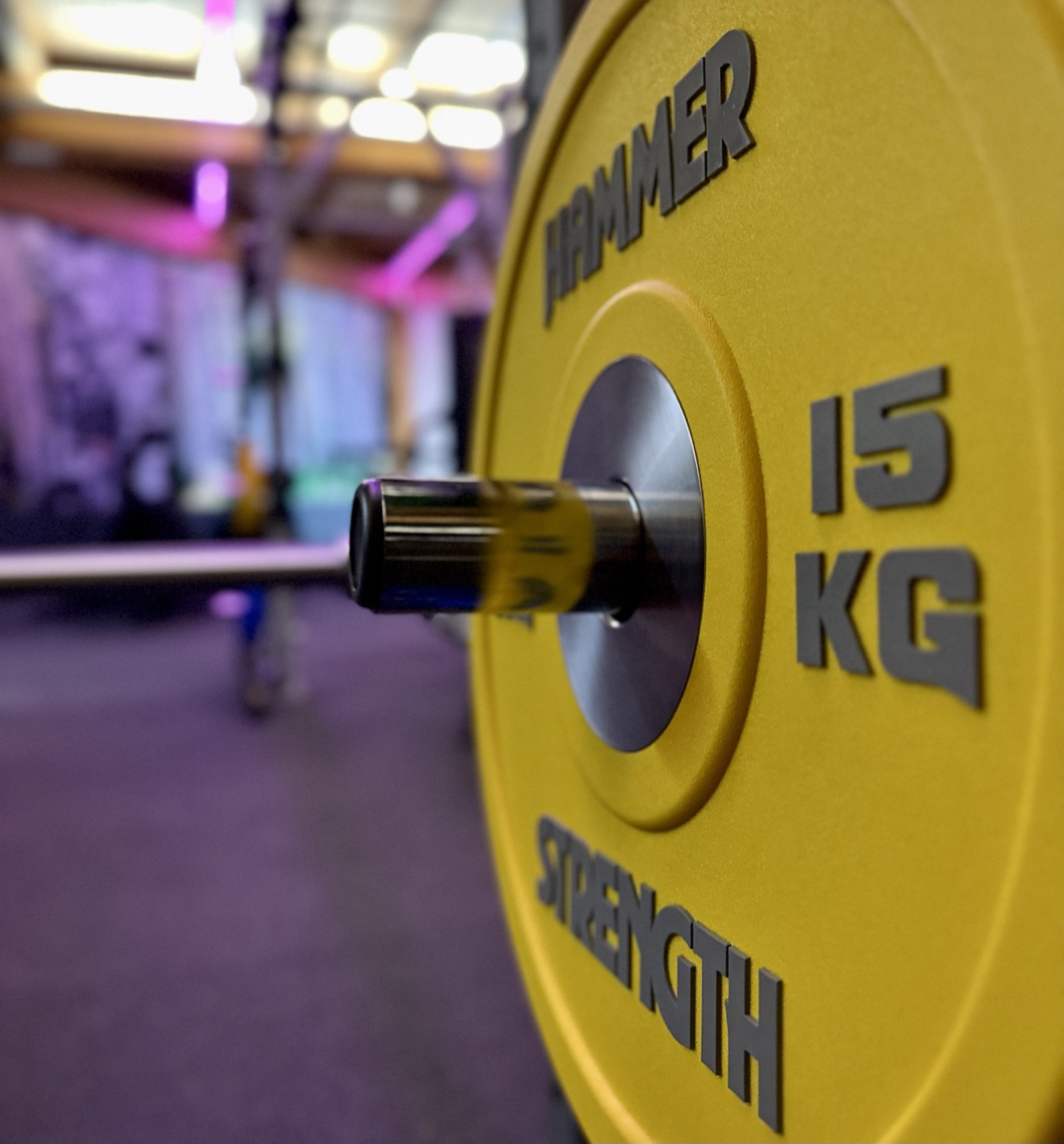 Gelbe 15-Kilo-Hantelscheibe von Hammer Strength in der Box, im Hintergrund das Rig